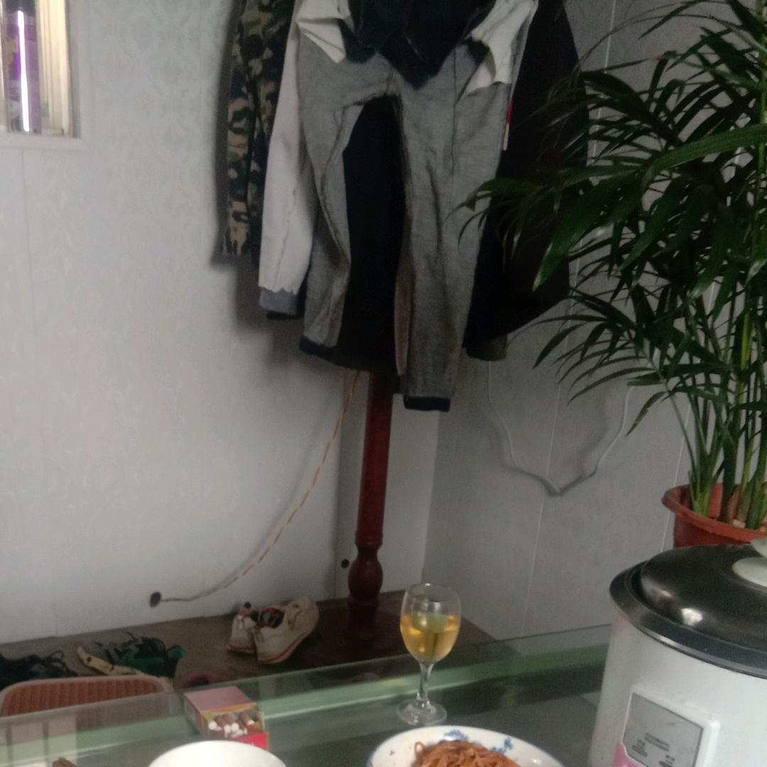 陆家光头强