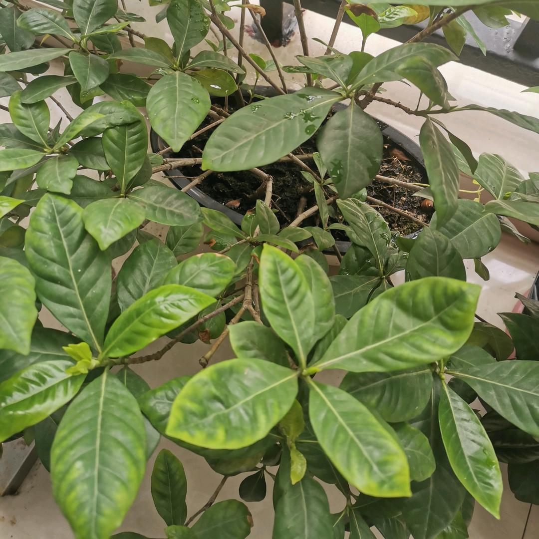 钦州农老伯食品