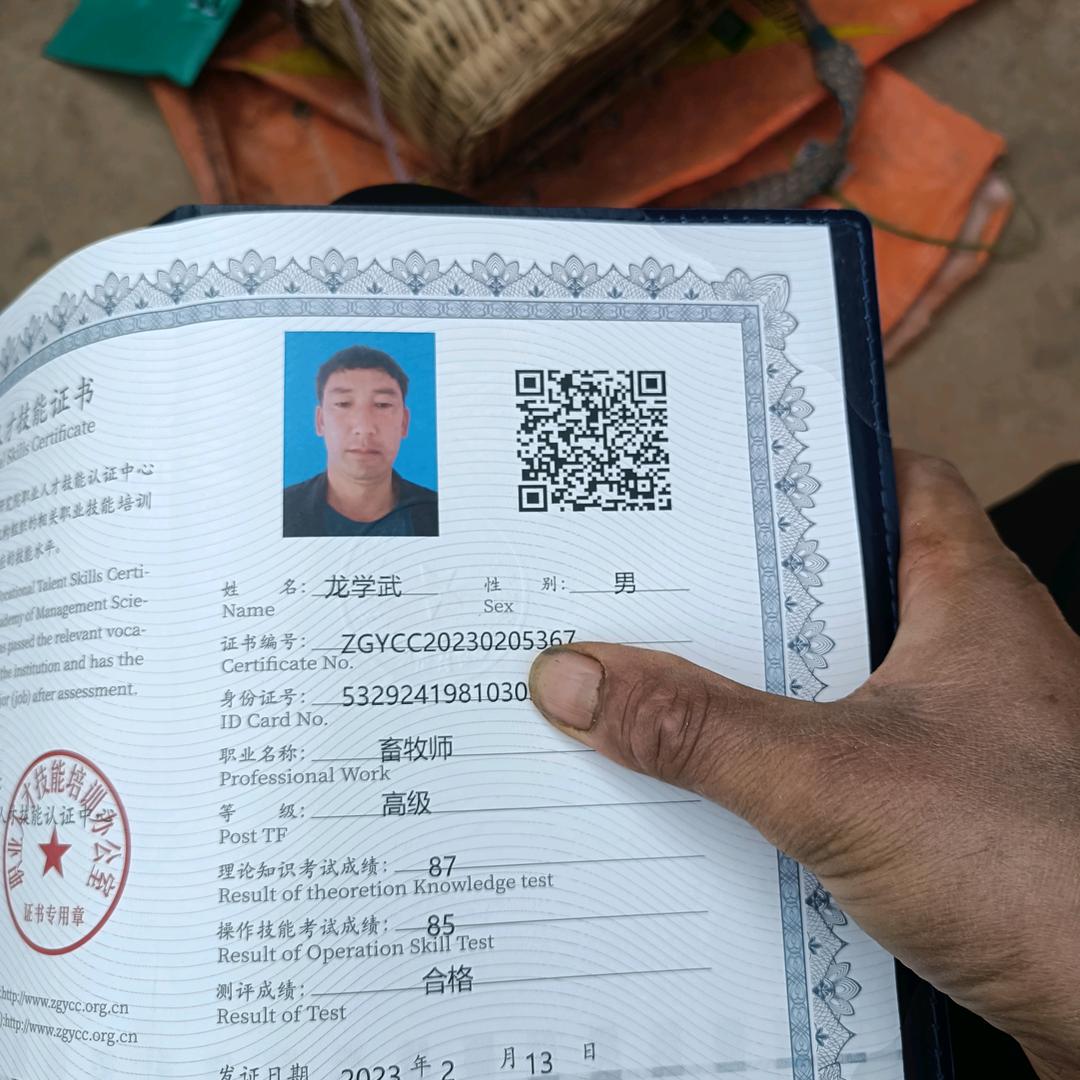 大理牛人团队鸡足山镇龙学武