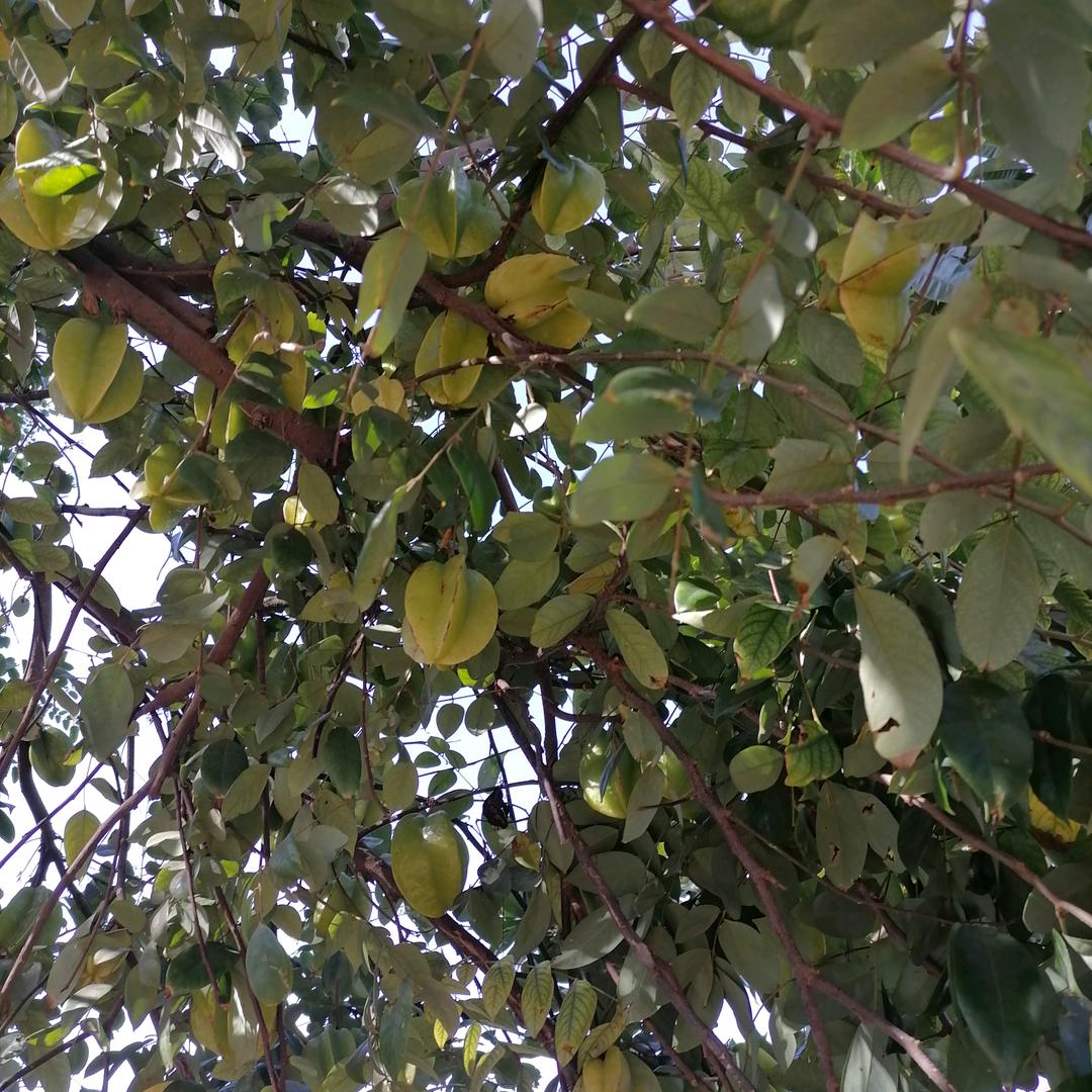 想