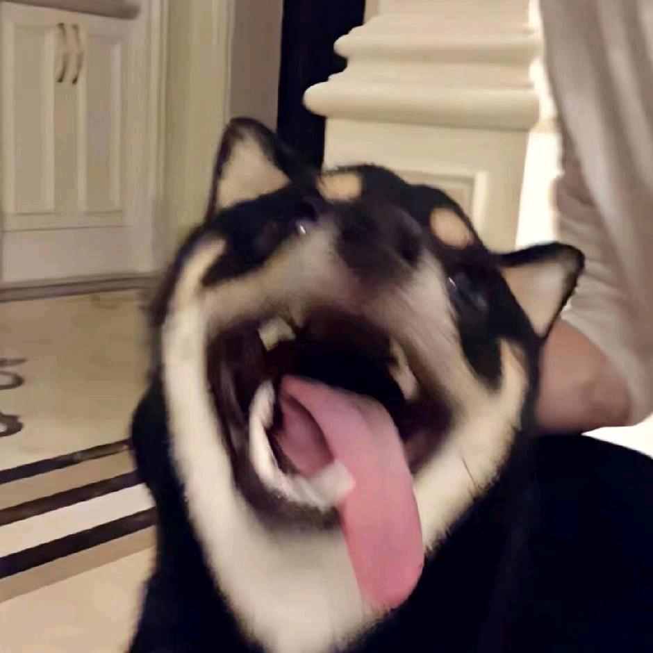 十八