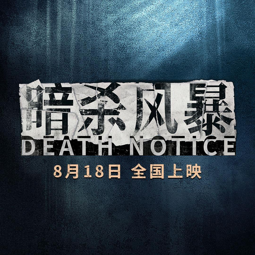 电影暗杀风暴