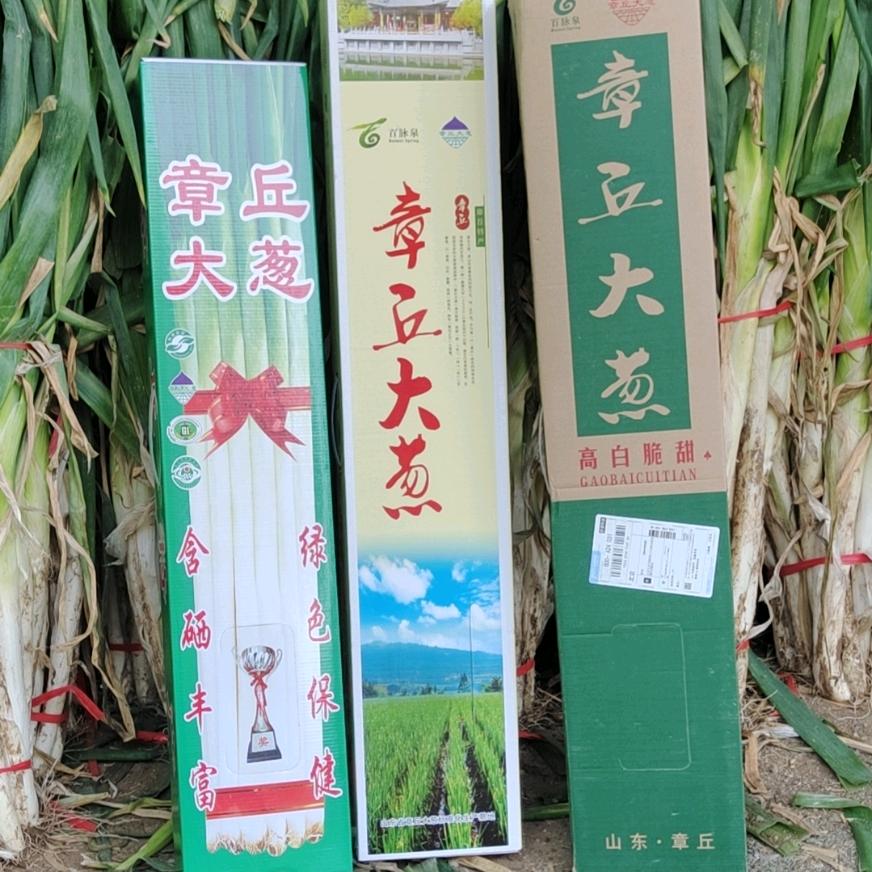 鑫泽铄女郎山大葱