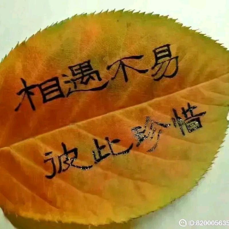 一生有你“段”