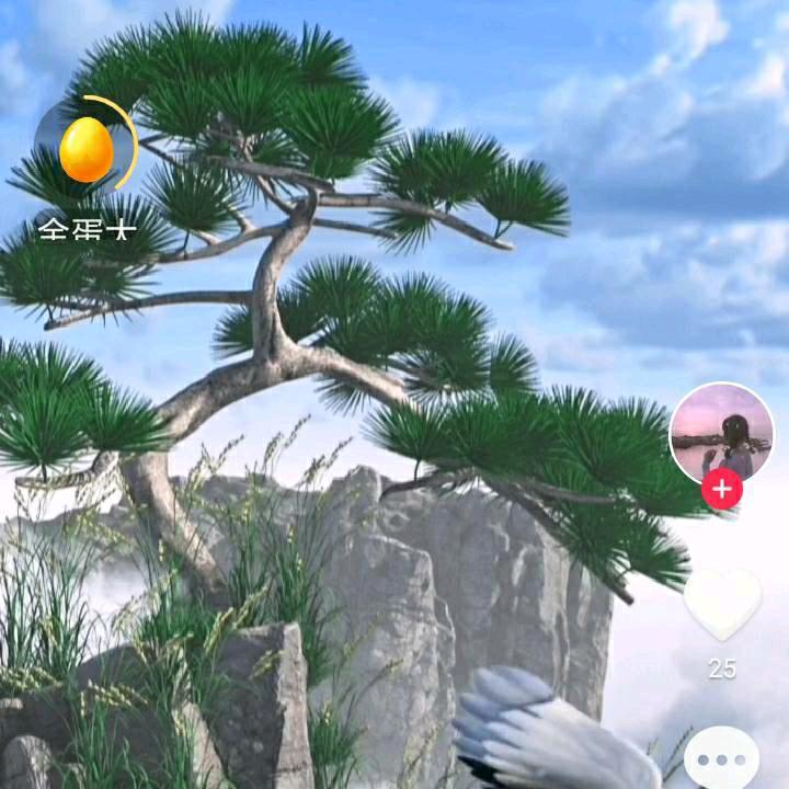 夕阳红
