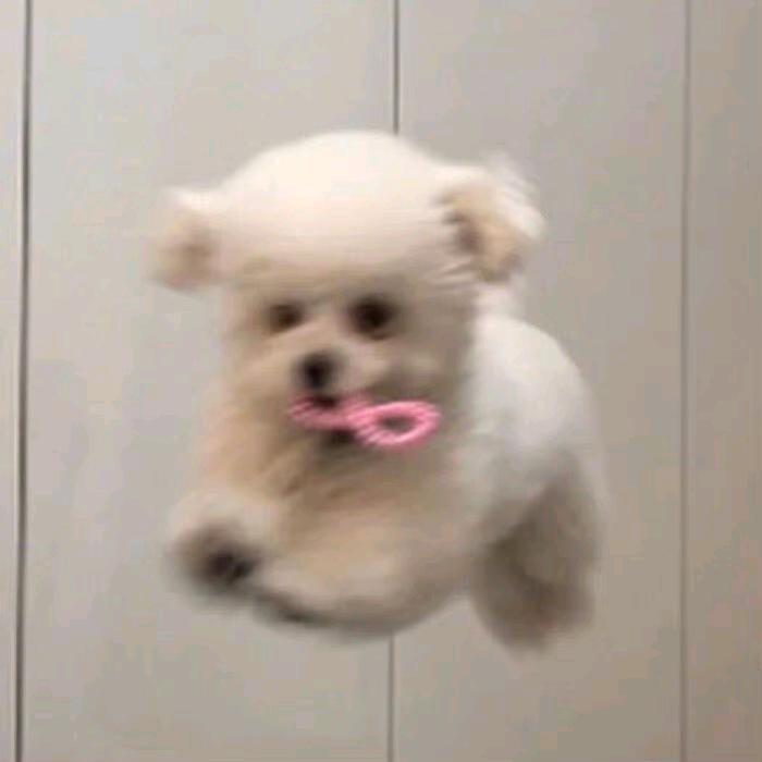 我吃饱了