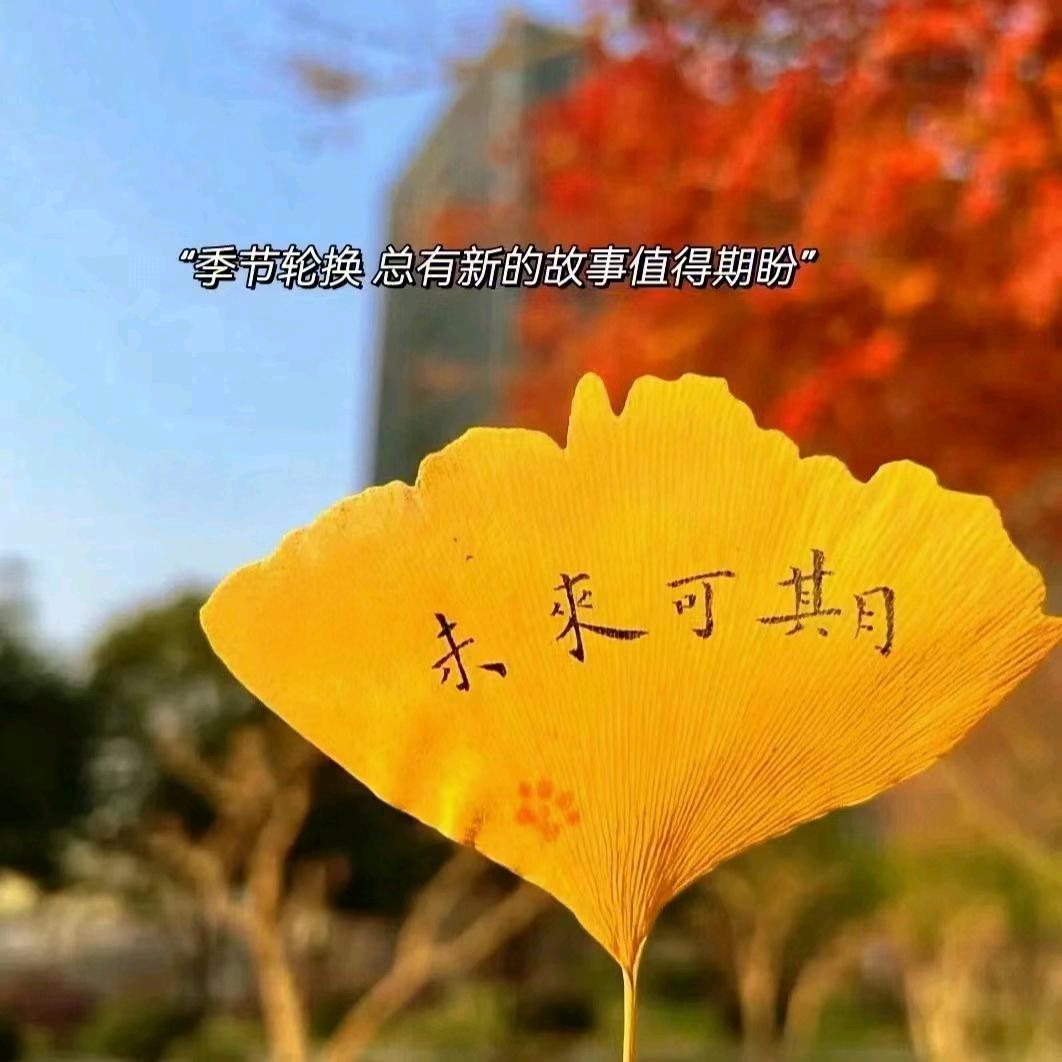 未来可期，
