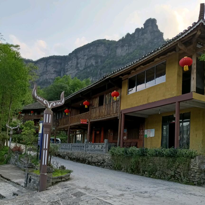 苗哥（嘿得行）