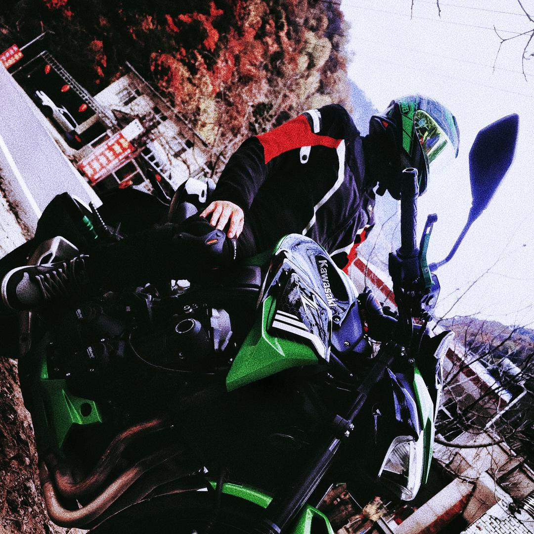 【拽拽的蚂蚁】