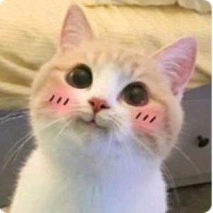dota贰苟