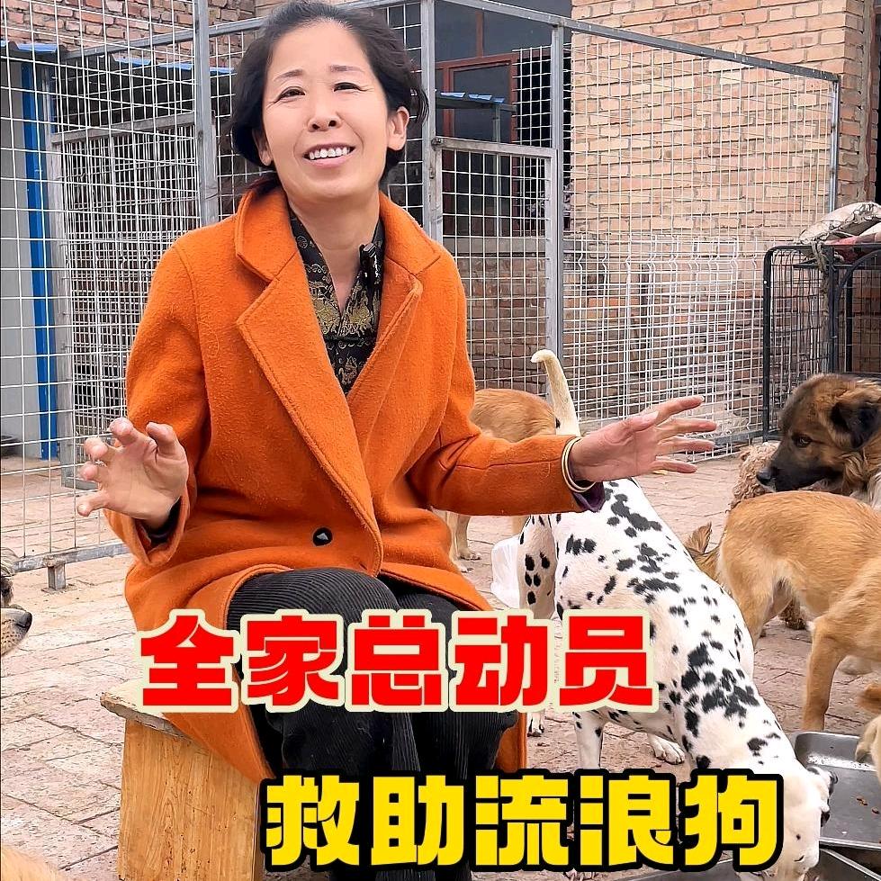 苗苗和她的流浪狗狗