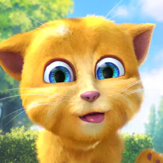 快乐小小猫