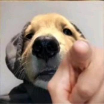 火火火火火火
