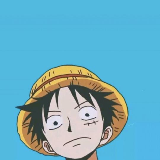 体育单招(小五哥）