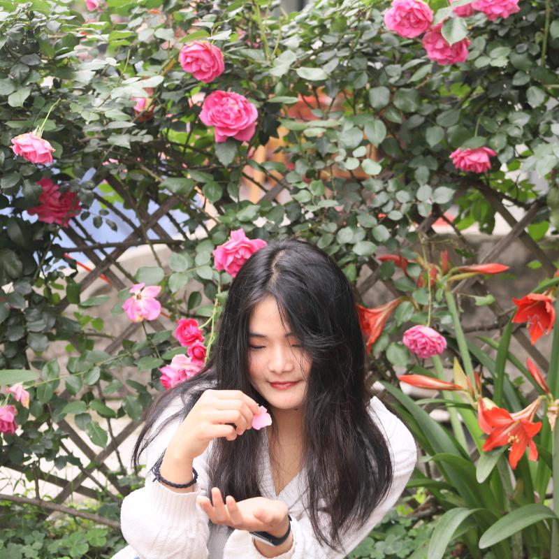 圆圆小白杨