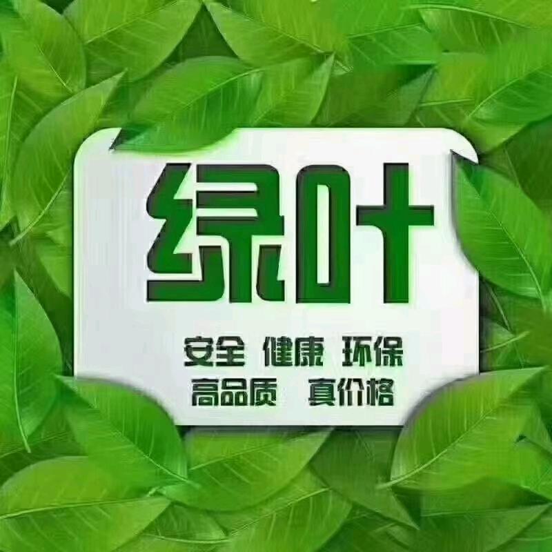 嵖岈山路西段路北绿叶店 会香