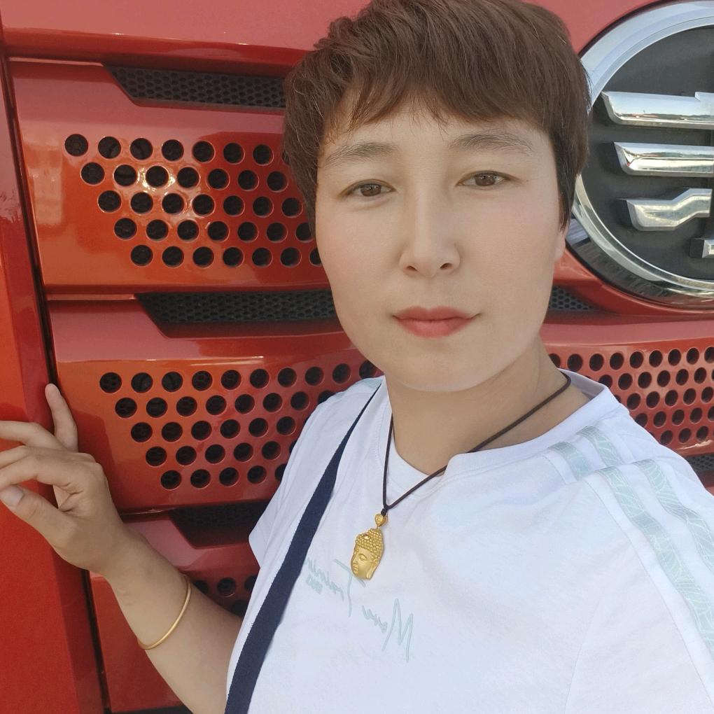 元氏丹姐二手半挂车零首付