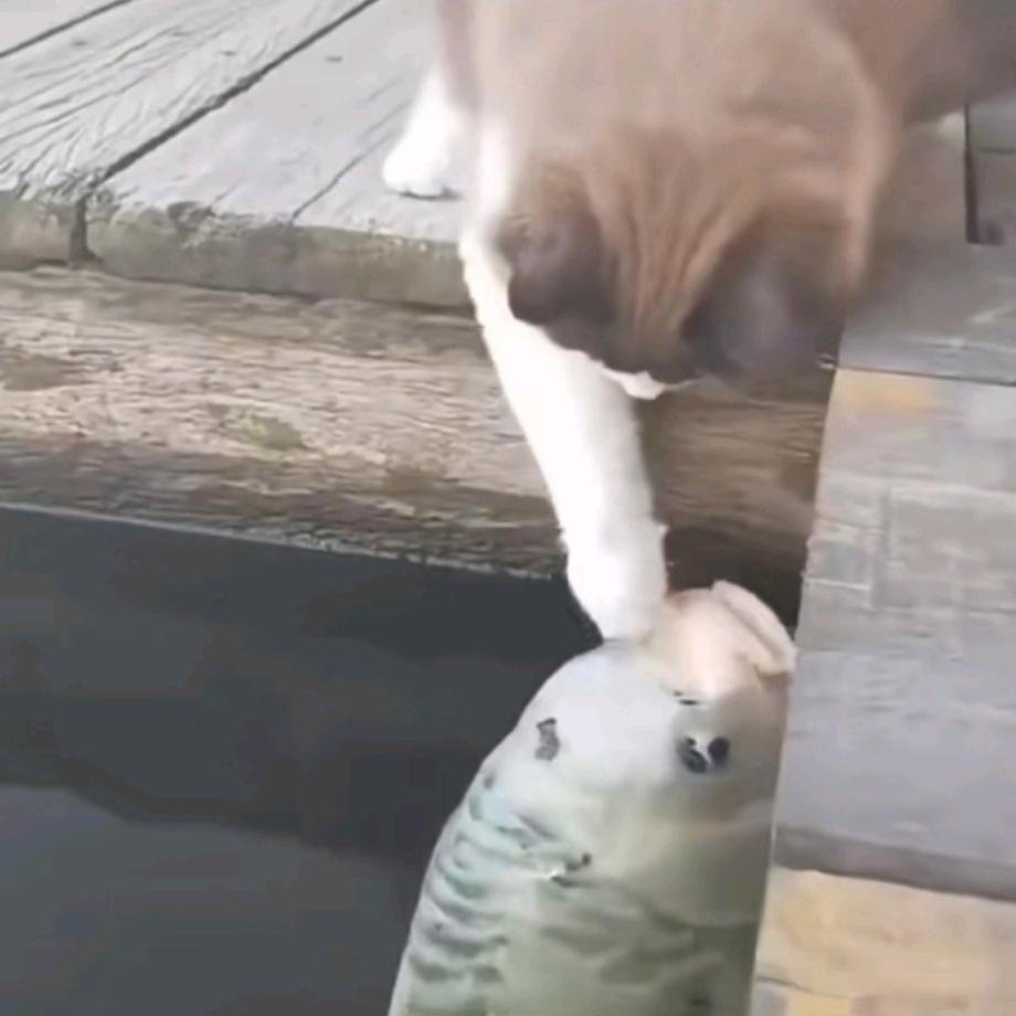 佛罗里 达州不养闲人