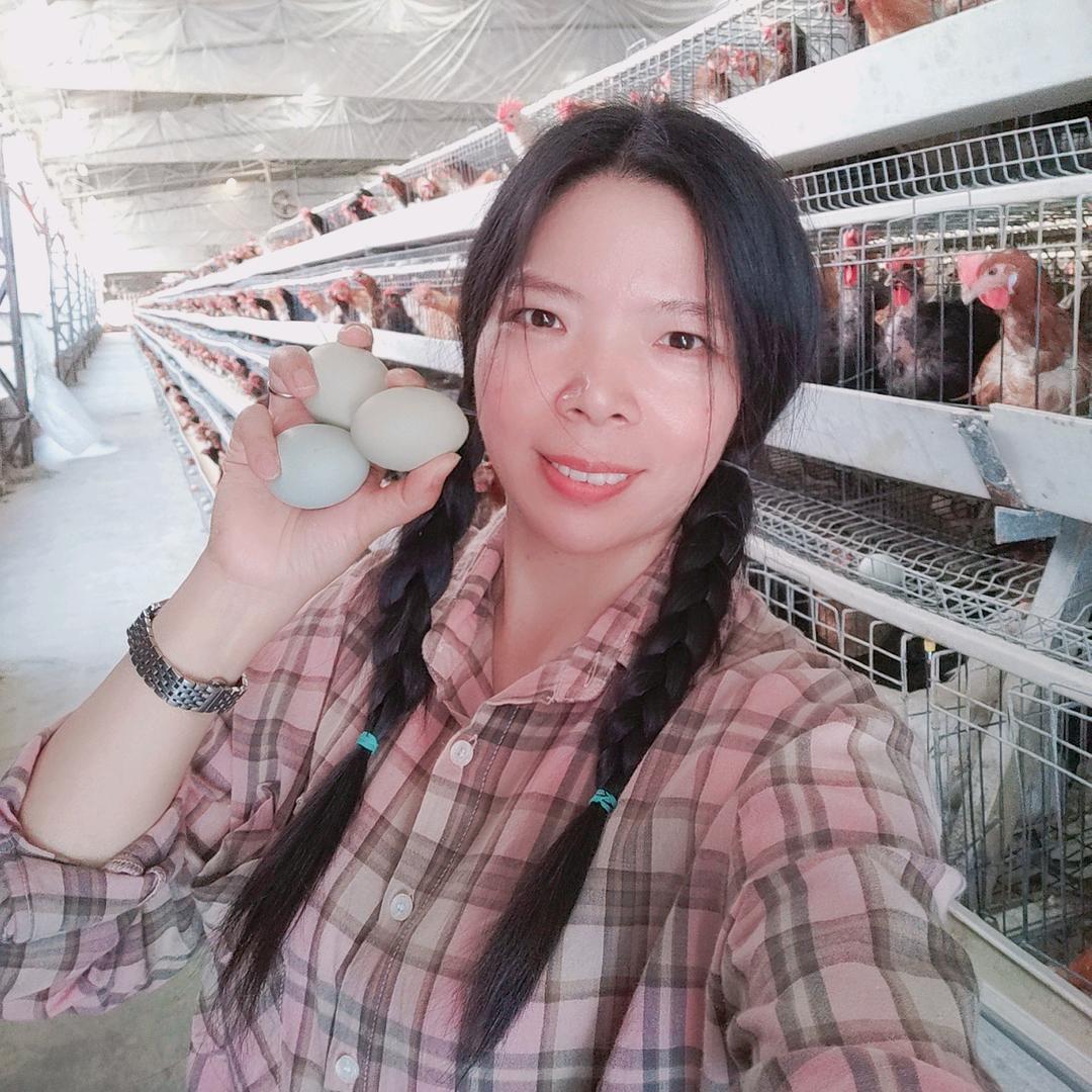 绿壳鸡蛋梅姐