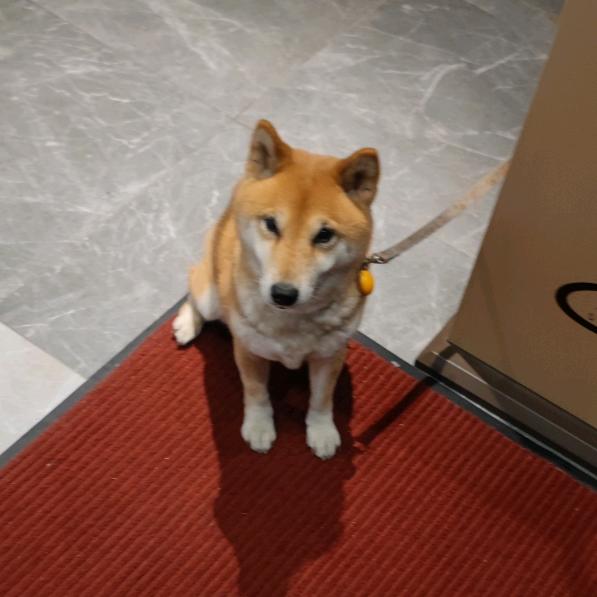 钓鱼菜鸟
