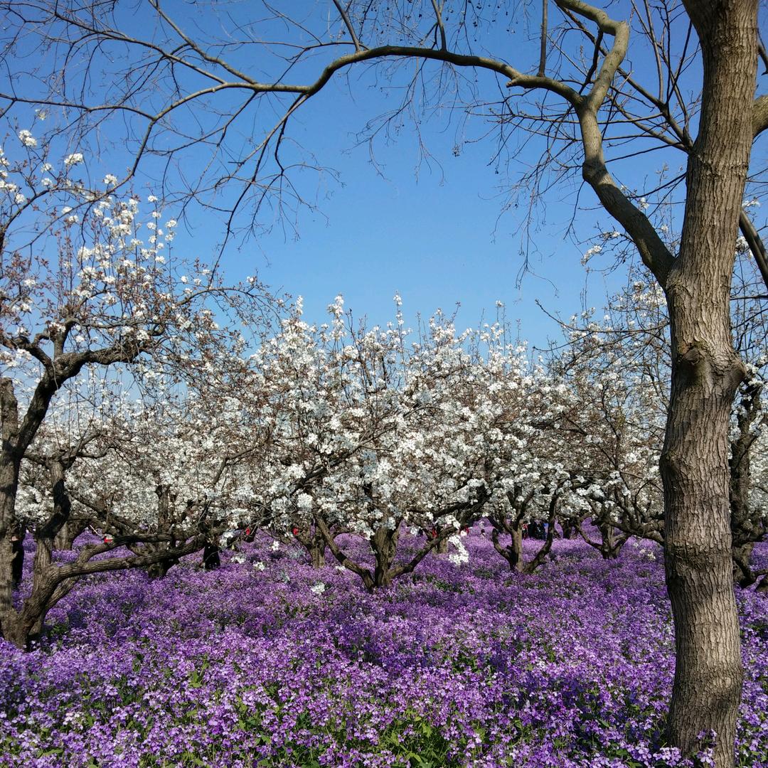 木子李