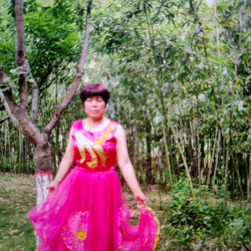 开心果cheng