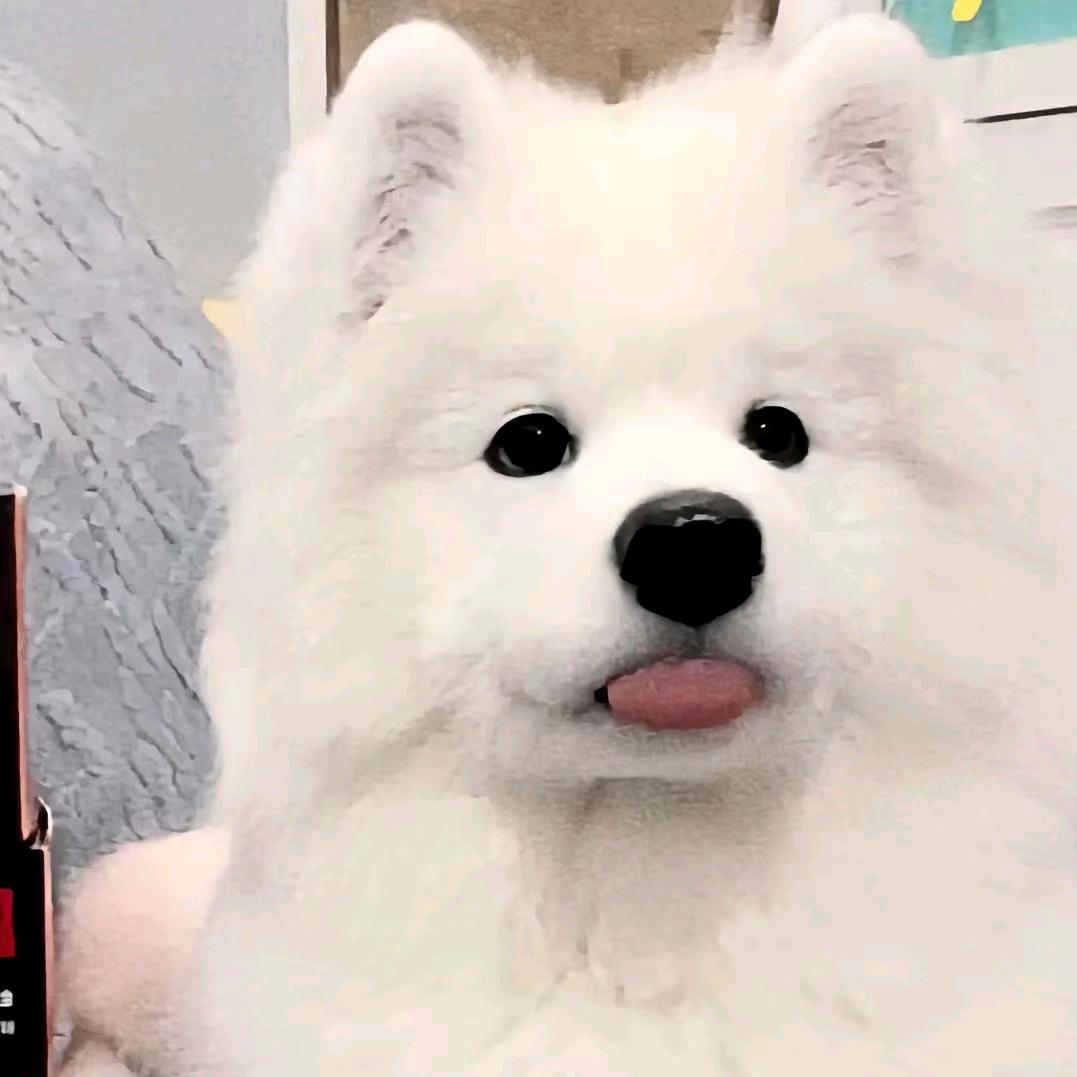 胆小鬼lll