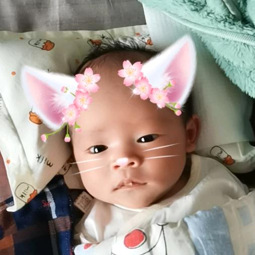 佐佐的生长日记