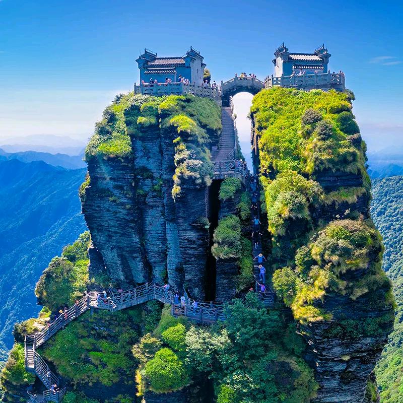 飞度在水一方