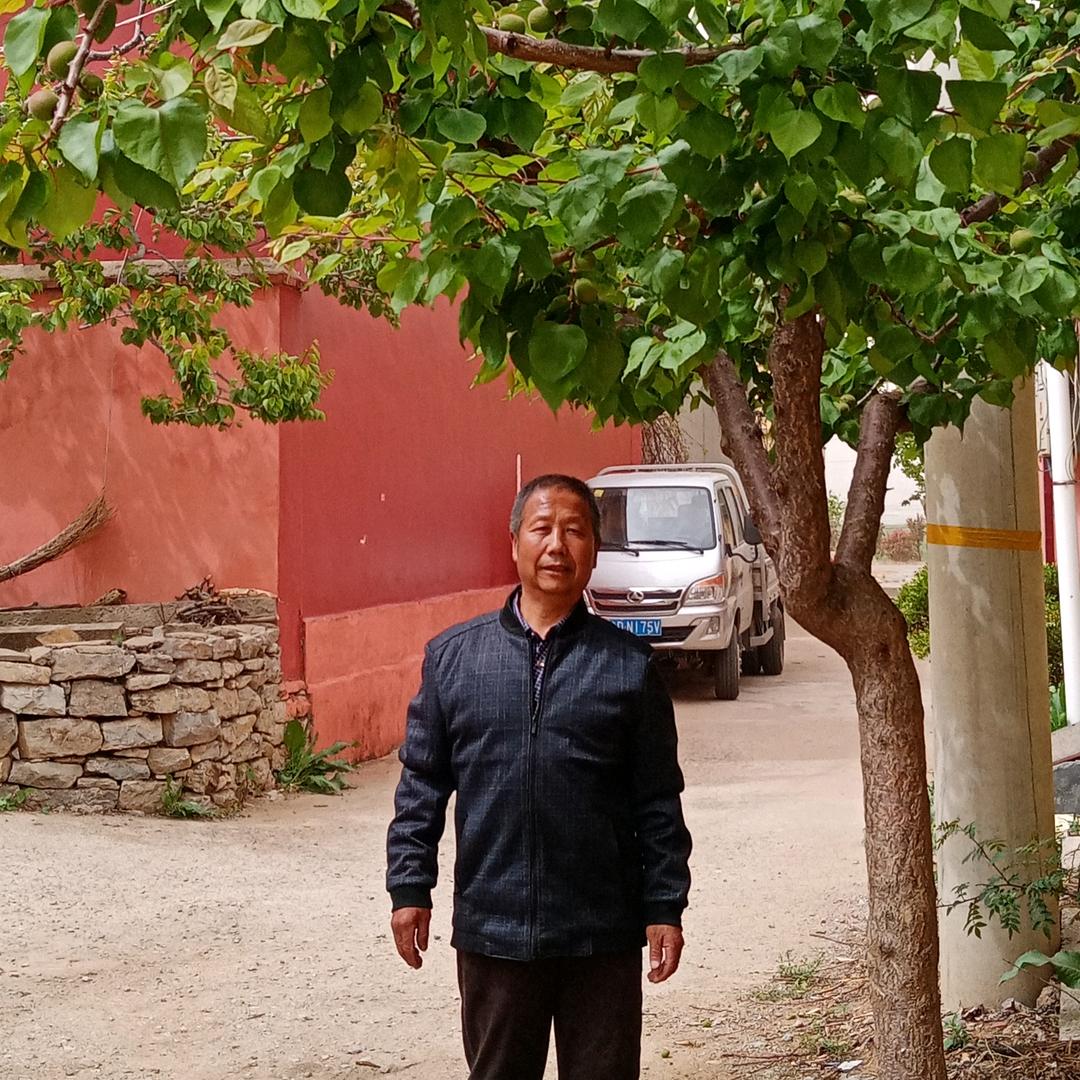 花开富贵吉祥如意