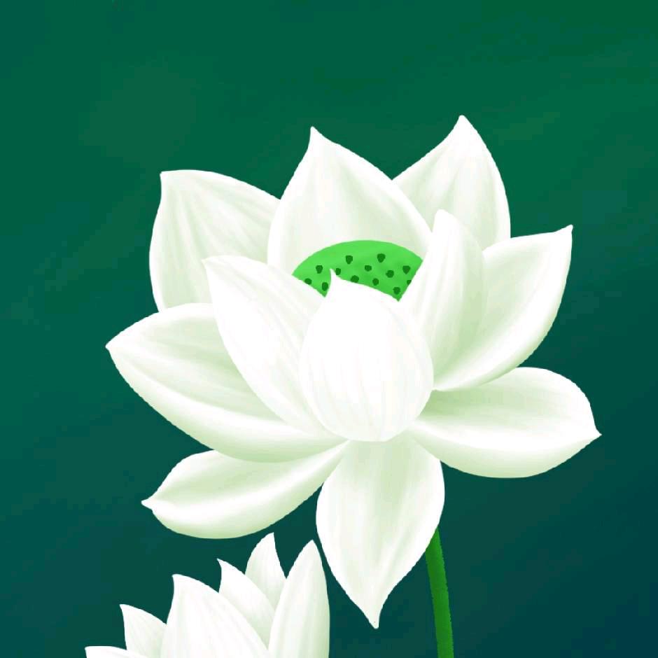 善缘堂(橱窗好物)