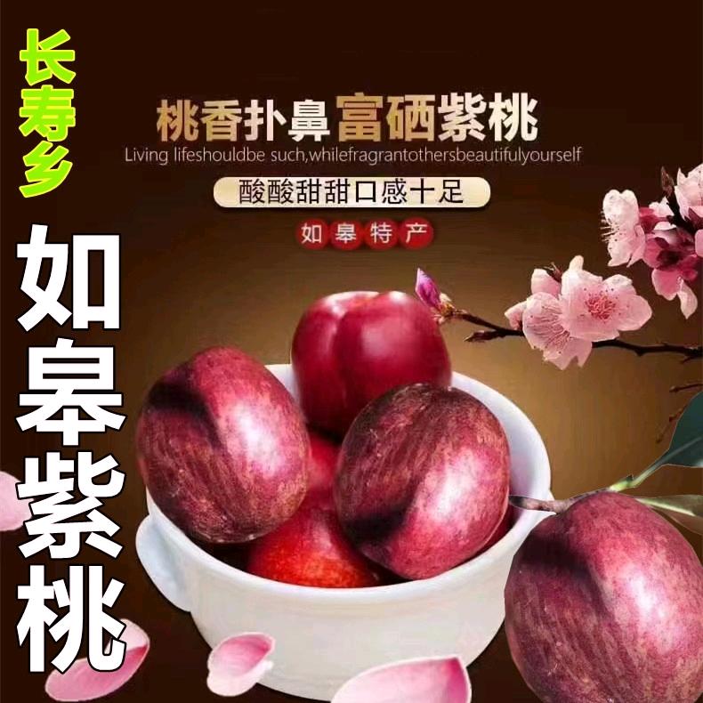 土山紫桃生态采摘园