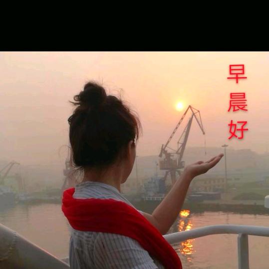 梧桐叶