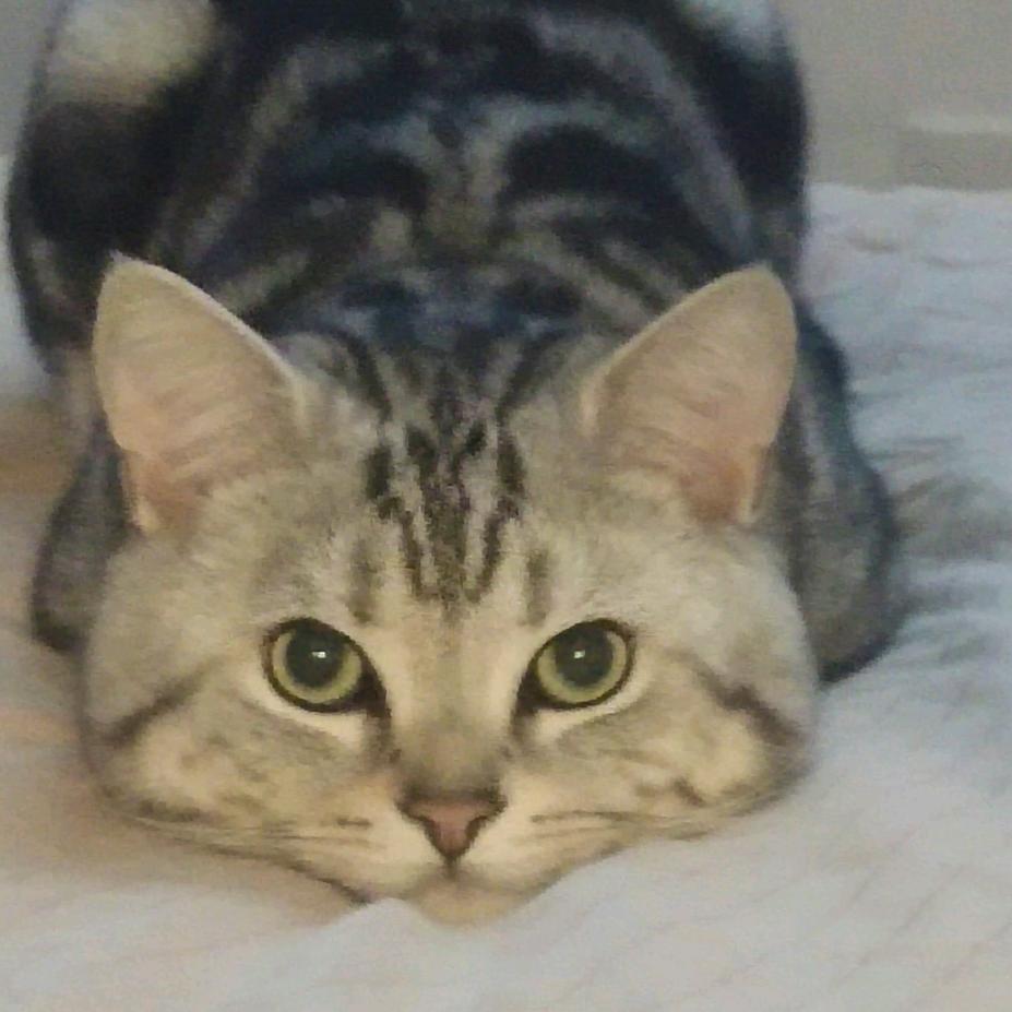 原来我才是自己的贵人