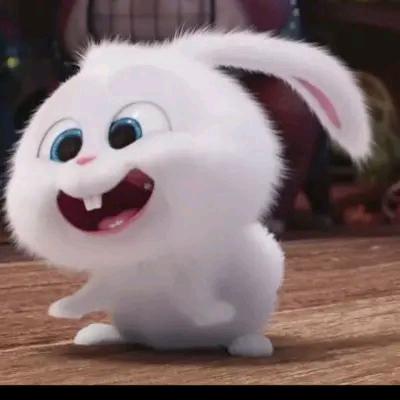 轻盈的酥油茶🥥