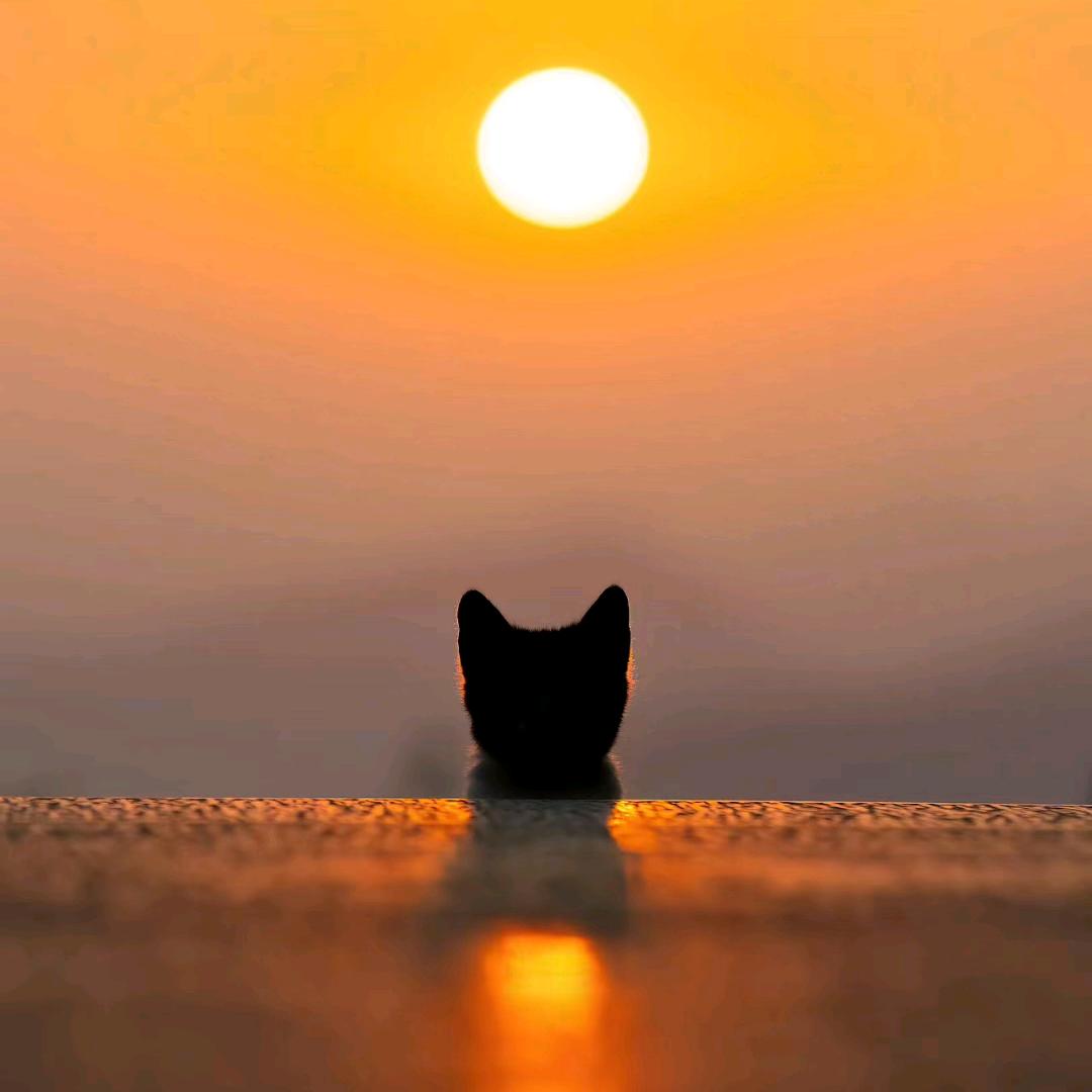 赵先森