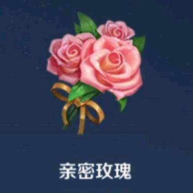 王者花花日记🌸