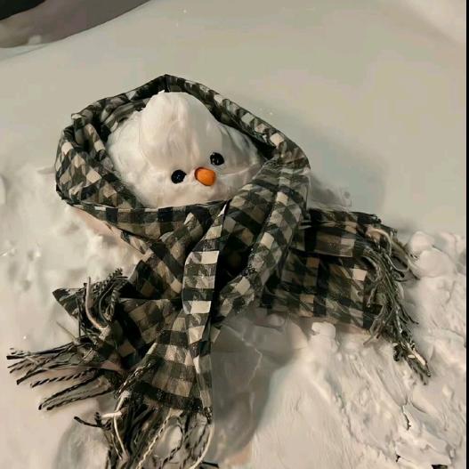 爱打游戏的开心果