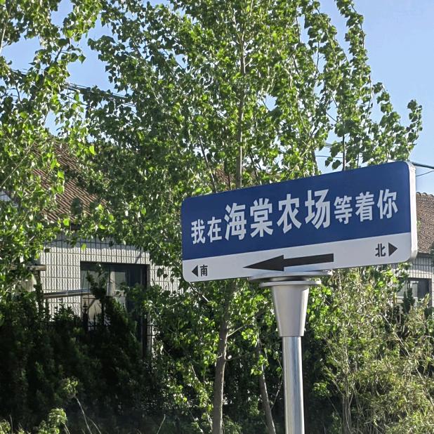 青岛海棠庄萌宠繁育