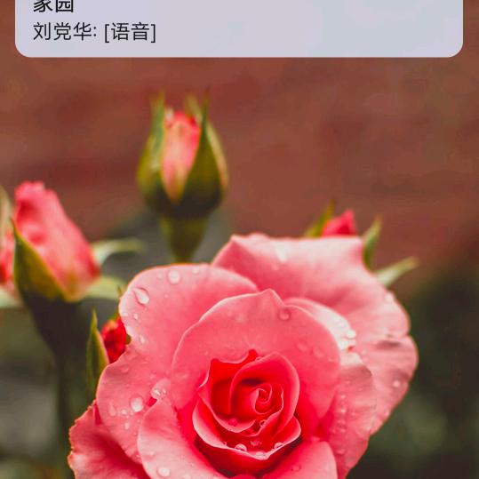 贵忠