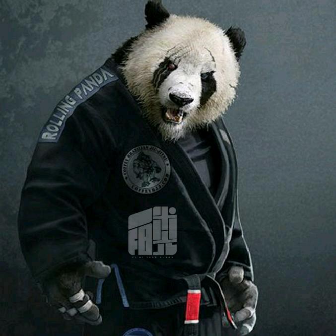 格斗圈