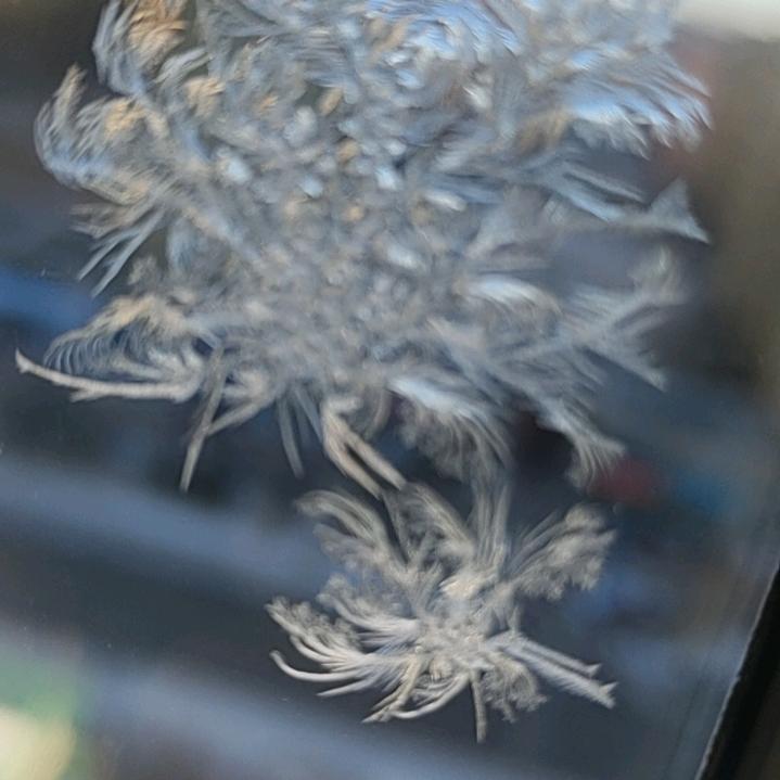 永君