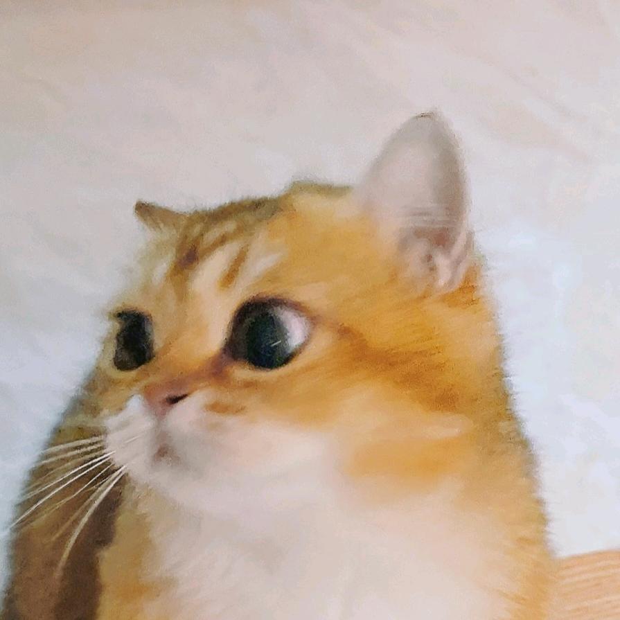  用户名76668871头像