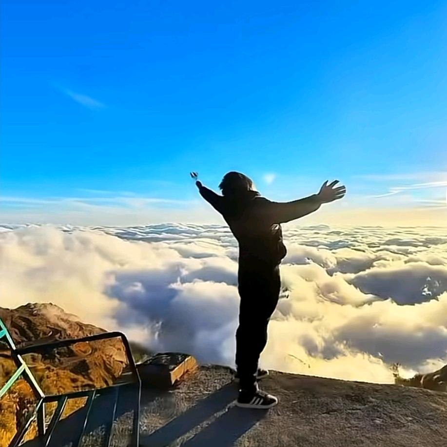 侃侃灬半俗半雅