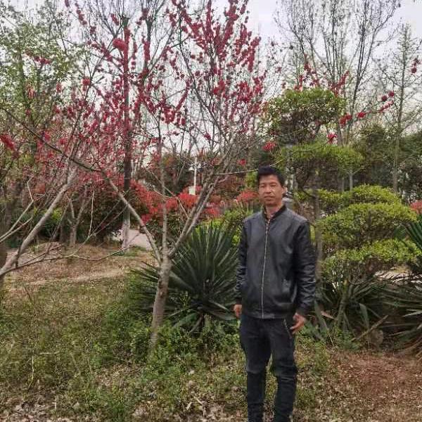 志启水电焊维修，打印，复印