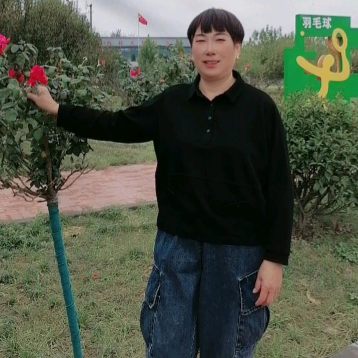 武美美