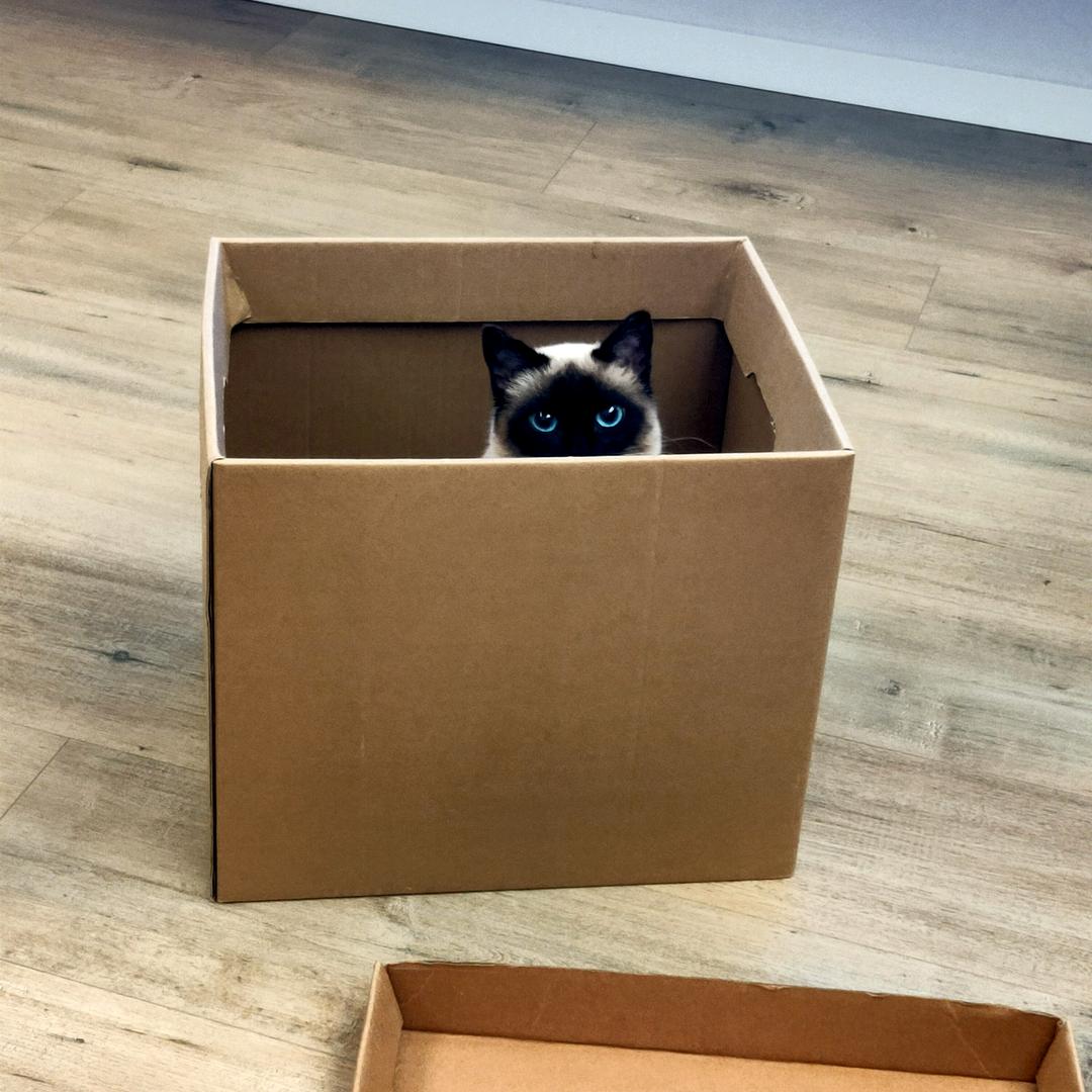 你说好那就是好