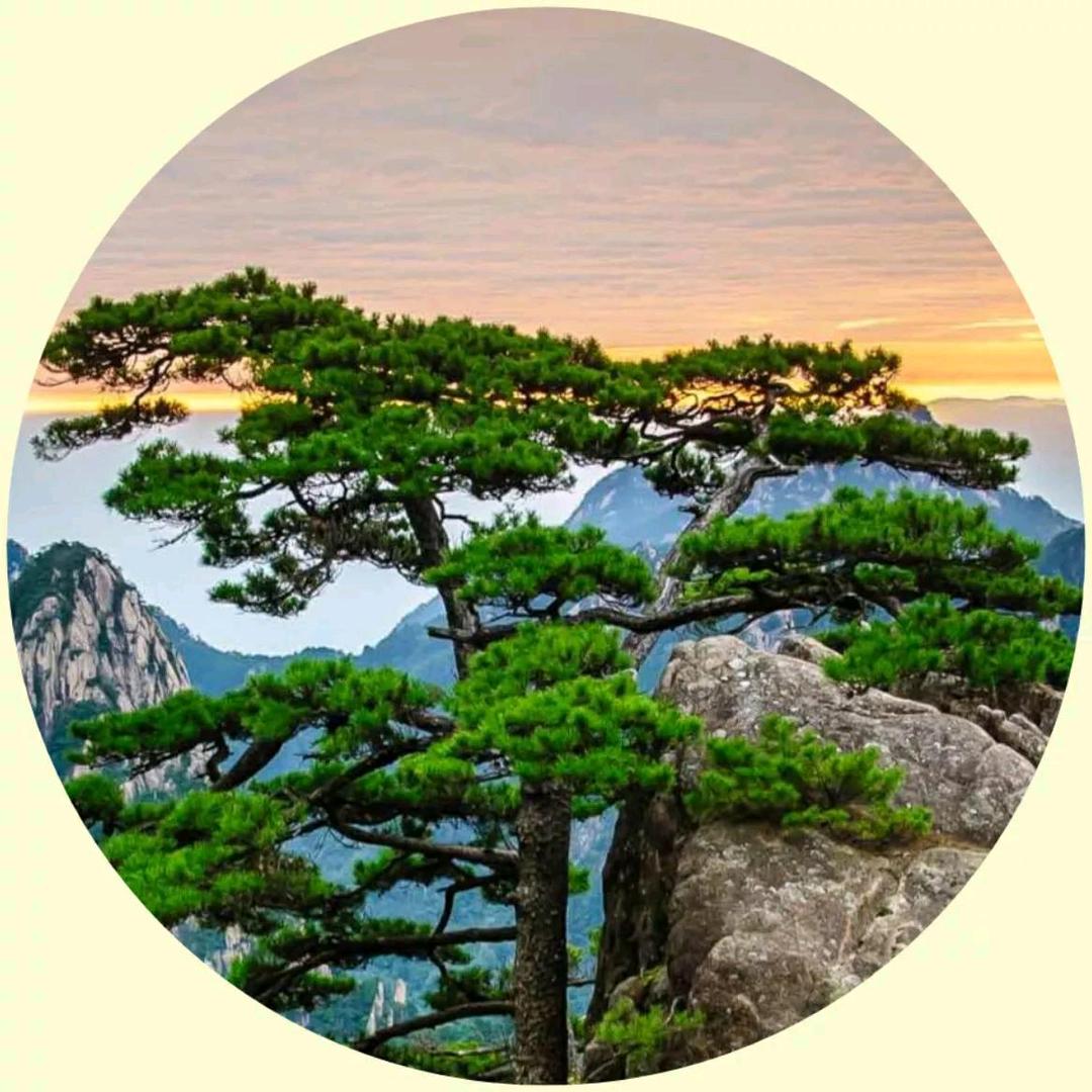 幸福快乐.