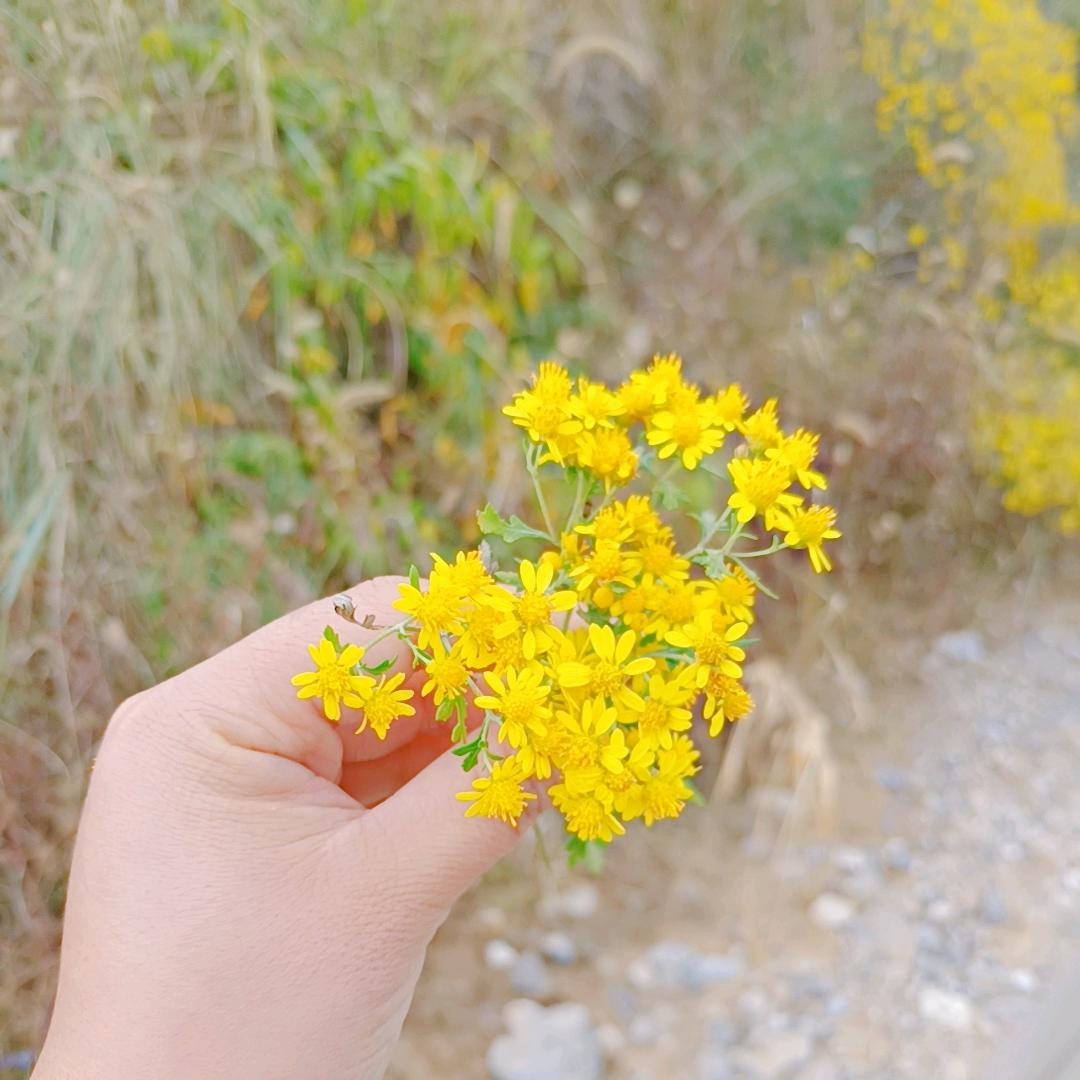 在老家伺候奶奶的～小周