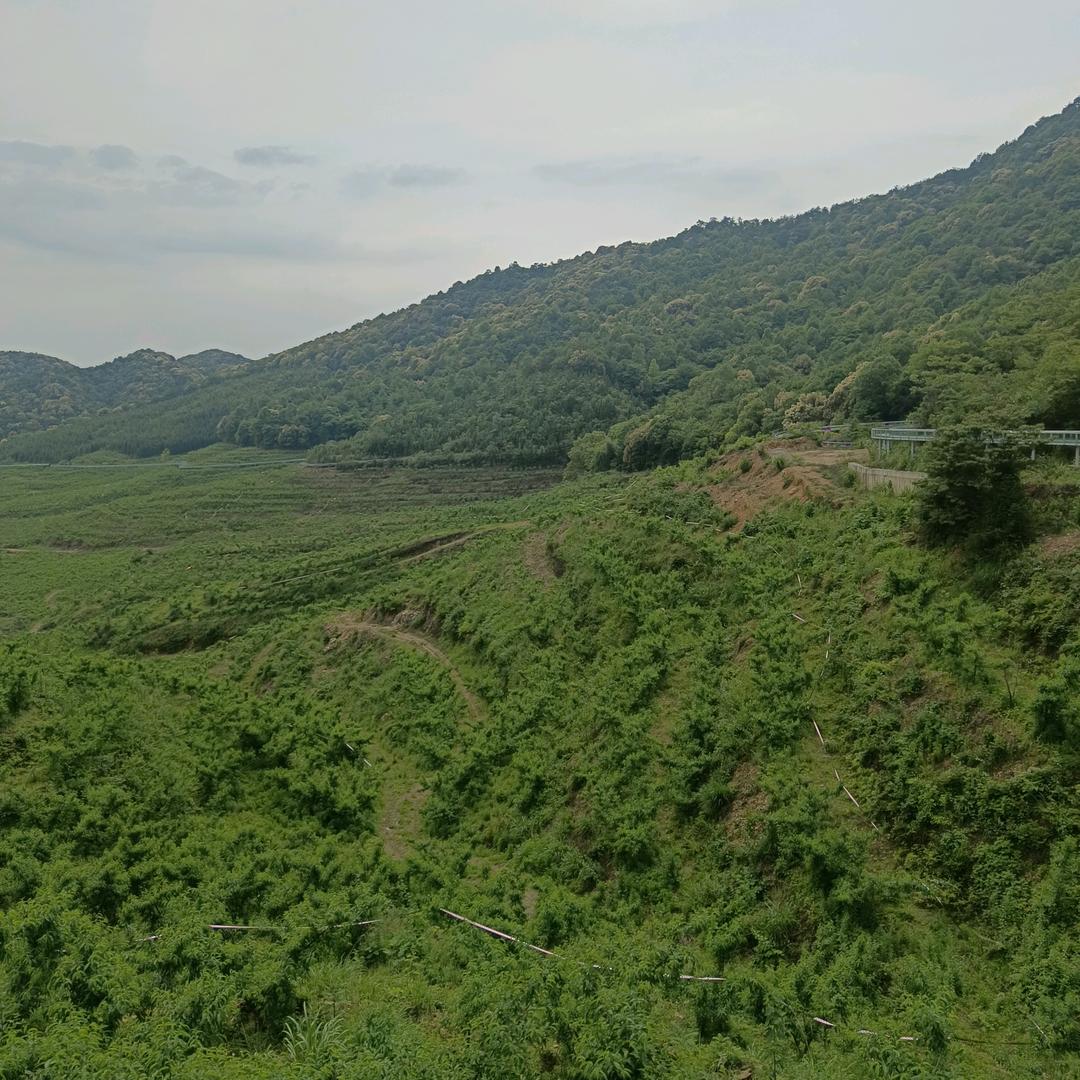 一个俗人（农村自建房）